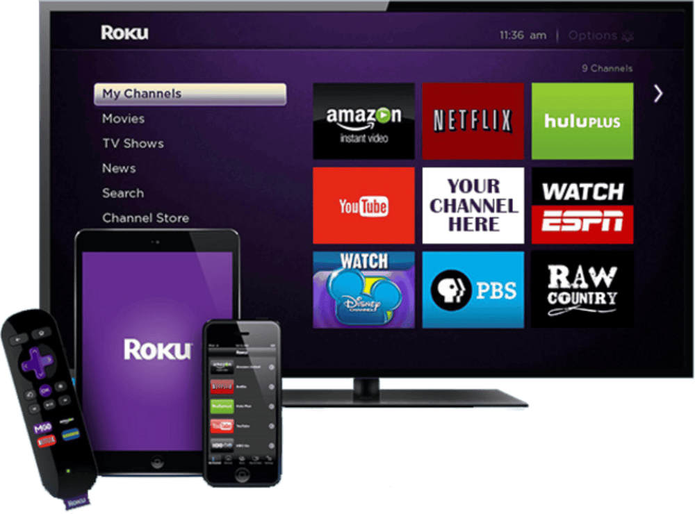 Roku stock has fallen over 17% this year.