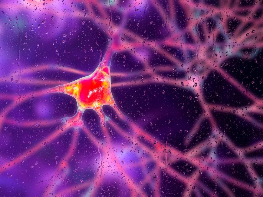 Firefly Neuroscience’s stock has risen 2.3% so far in 2025. (Photo credit: Getty Images)