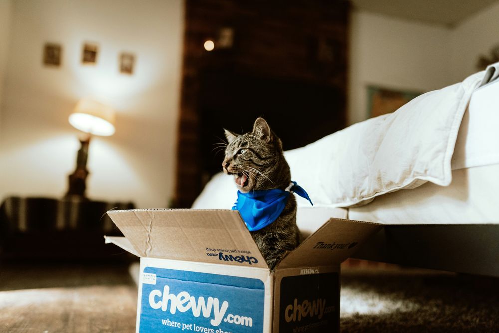 Chewy stock had made headlines recently after Keith Gill a.k.a ‘Roaring Kitty’ disclosed a stake in the firm.