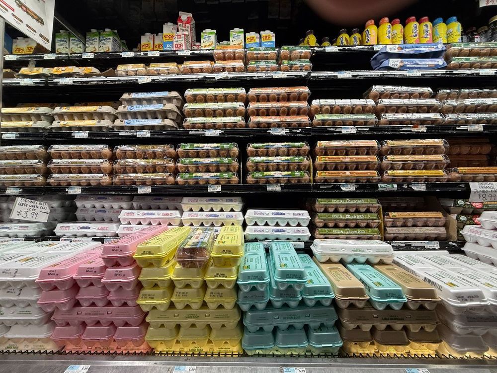 Egg cartons stacked and on display in refrigerated aisle of KeyFoods grocery store, Queens, New York. (Photo by: Lindsey Nicholson/UCG/Universal Images Group via Getty Images)